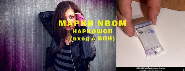 ПСИЛОЦИБИНОВЫЕ ГРИБЫ Вязники