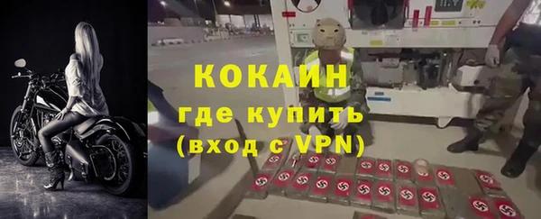 бошки Горняк