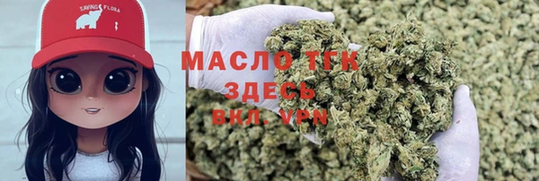 ПСИЛОЦИБИНОВЫЕ ГРИБЫ Вязники