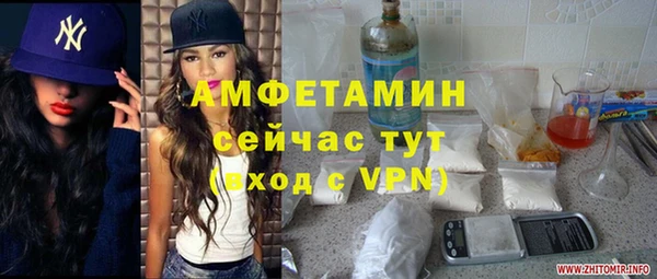 ПСИЛОЦИБИНОВЫЕ ГРИБЫ Вязники