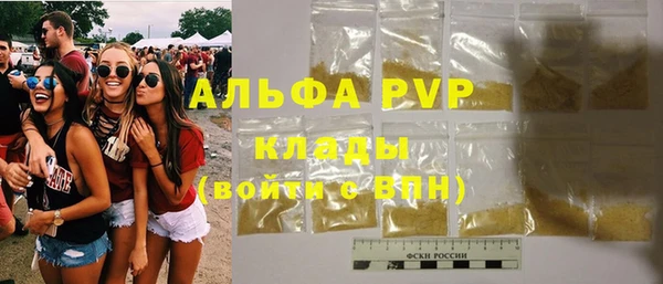 ПСИЛОЦИБИНОВЫЕ ГРИБЫ Вязники