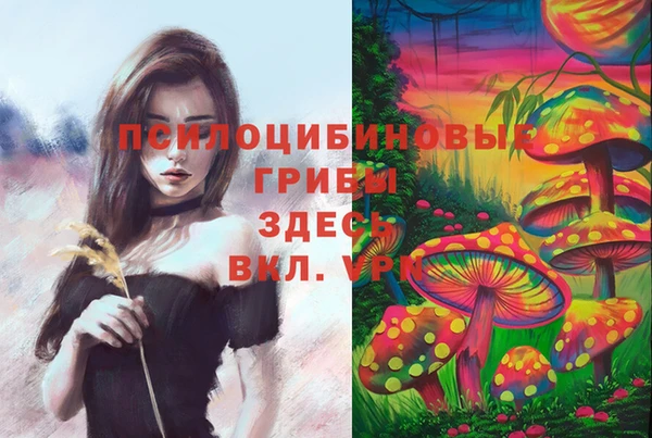 кокс Горнозаводск