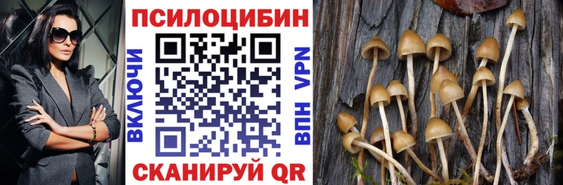 Галлюциногенные грибы мухоморы  наркошоп  Нягань 